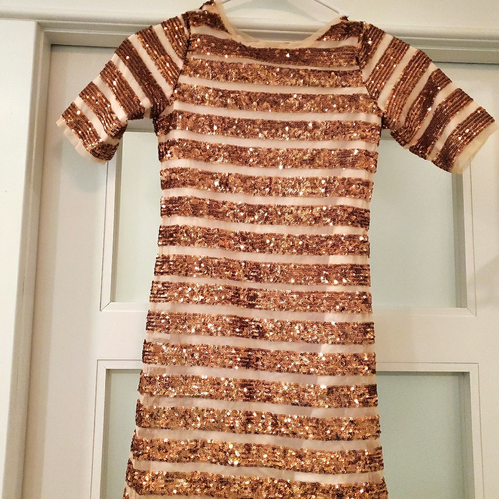 Rose Gold Sequins Dress